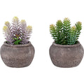 Succulent - 8" Artificial Plant (Set of 2) in a 6" Cement Pot