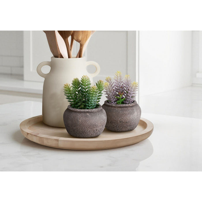 Succulent - 8" Artificial Plant (Set of 2) in a 6" Cement Pot