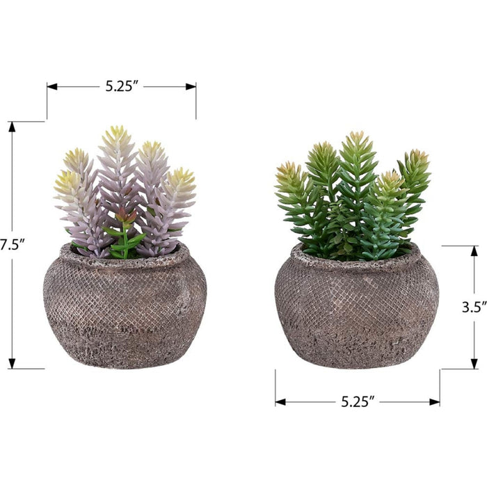 Succulent - 8" Artificial Plant (Set of 2) in a 6" Cement Pot