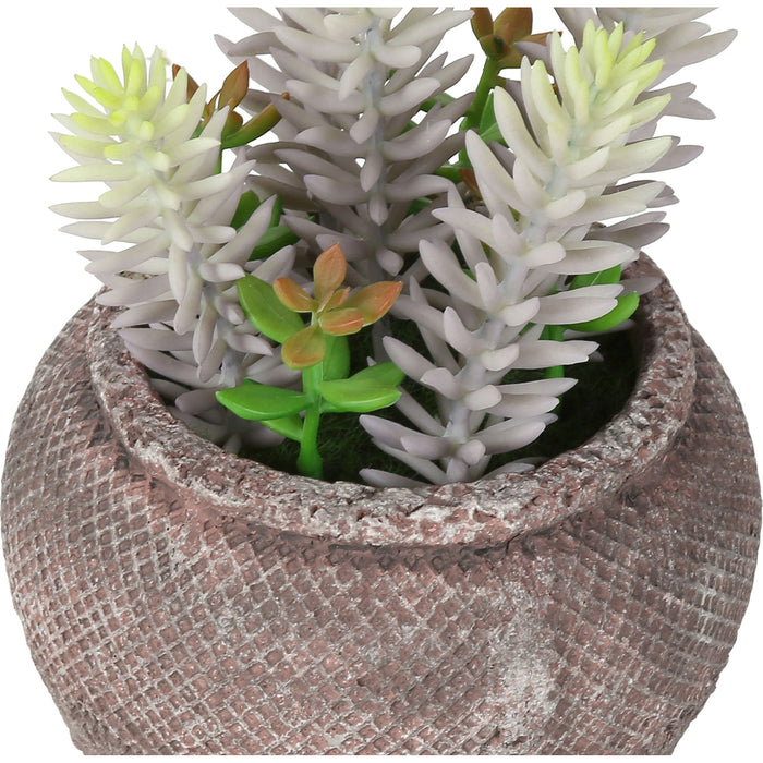 Succulent - 8" Artificial Plant (Set of 2) in a 6" Cement Pot