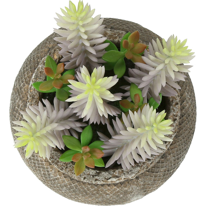 Succulent - 8" Artificial Plant (Set of 2) in a 6" Cement Pot