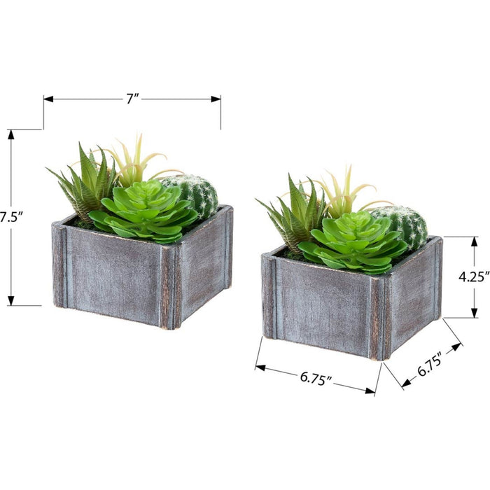 Succulent - 8" Artificial Plant (Set of 2) in a 7"X 7" Wood Pot
