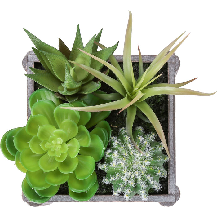 Succulent - 8" Artificial Plant (Set of 2) in a 7"X 7" Wood Pot