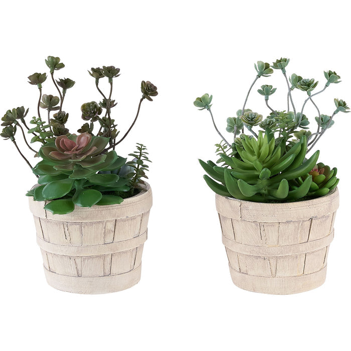 Succulent - 9" Artificial Plant (Set of 2) in a 5" Cement Pot