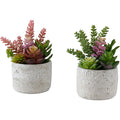 Succulent - 9" Artificial Plant (Set of 2) in a 5" Cement Pot