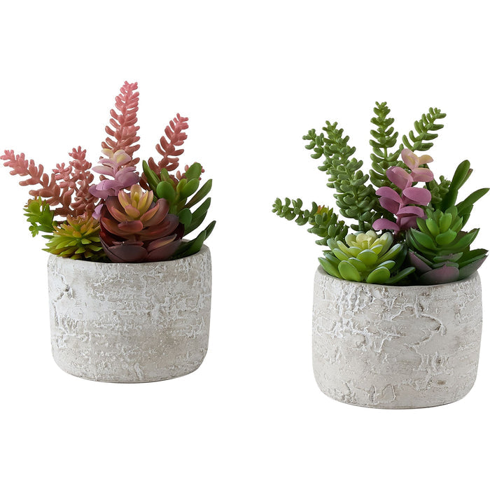 Succulent - 9" Artificial Plant (Set of 2) in a 5" Cement Pot