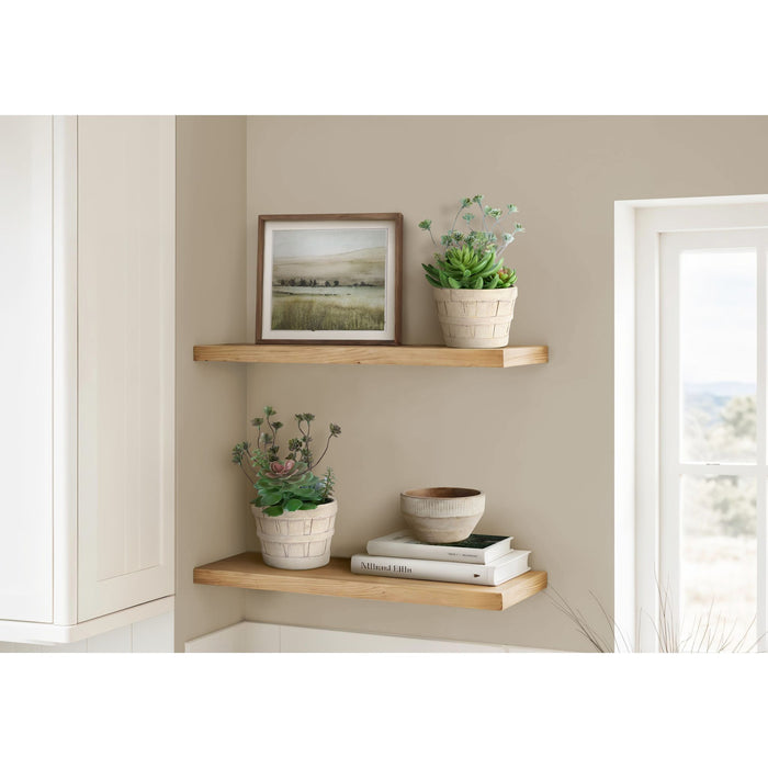 Succulent - 9" Artificial Plant (Set of 2) in a 5" Cement Pot