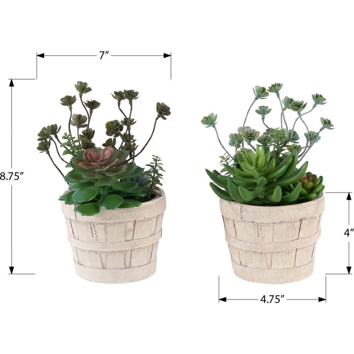 Succulent - 9" Artificial Plant (Set of 2) in a 5" Cement Pot
