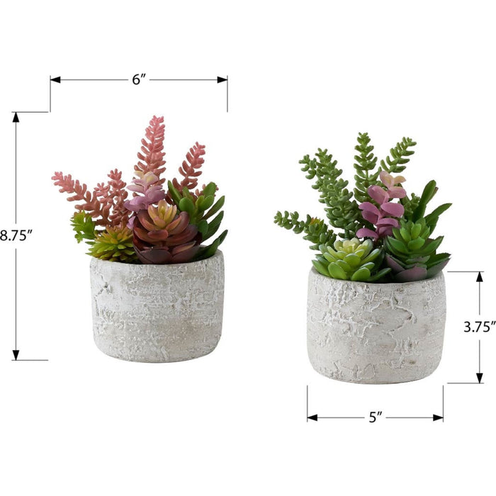 Succulent - 9" Artificial Plant (Set of 2) in a 5" Cement Pot