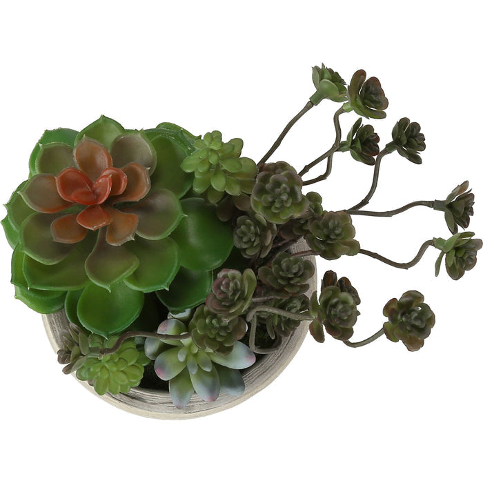 Succulent - 9" Artificial Plant (Set of 2) in a 5" Cement Pot