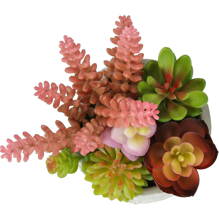 Succulent - 9" Artificial Plant (Set of 2) in a 5" Cement Pot