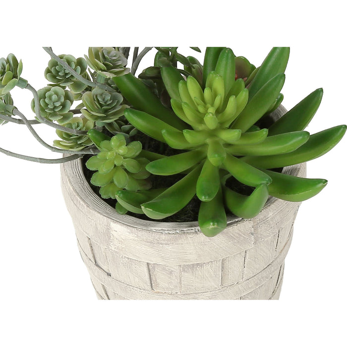 Succulent - 9" Artificial Plant (Set of 2) in a 5" Cement Pot