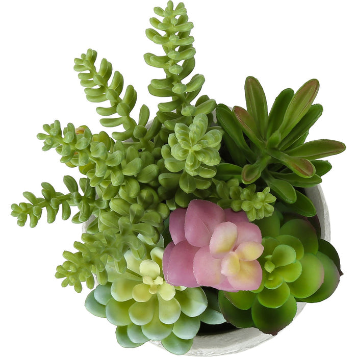 Succulent - 9" Artificial Plant (Set of 2) in a 5" Cement Pot