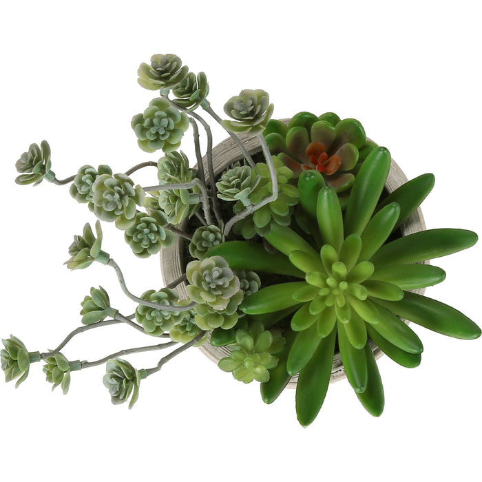 Succulent - 9" Artificial Plant (Set of 2) in a 5" Cement Pot
