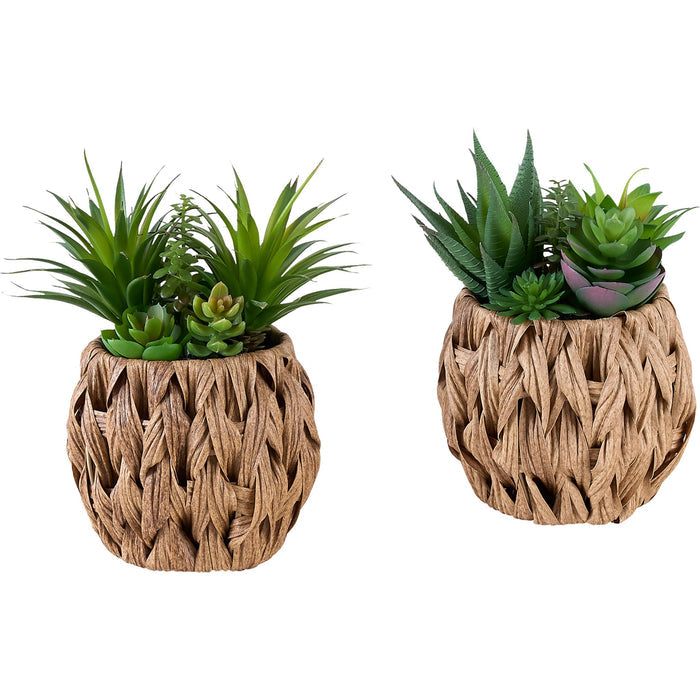 Succulent - 9" Artificial Plant (Set of 2) in a 6" Pot