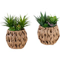 Succulent - 9" Artificial Plant (Set of 2) in a 6" Pot