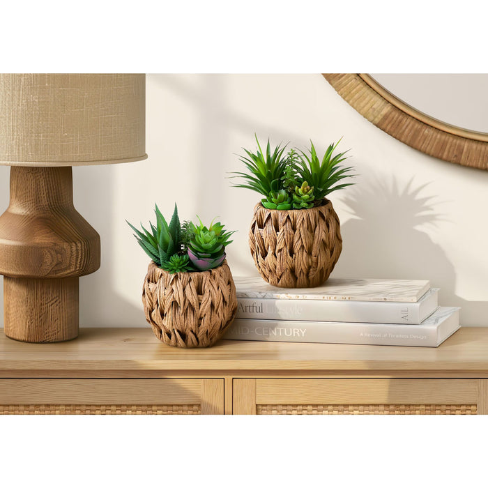 Succulent - 9" Artificial Plant (Set of 2) in a 6" Pot