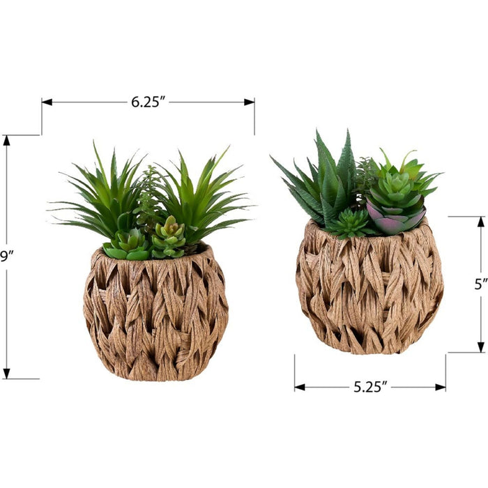 Succulent - 9" Artificial Plant (Set of 2) in a 6" Pot
