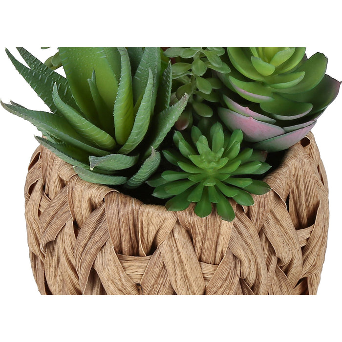 Succulent - 9" Artificial Plant (Set of 2) in a 6" Pot