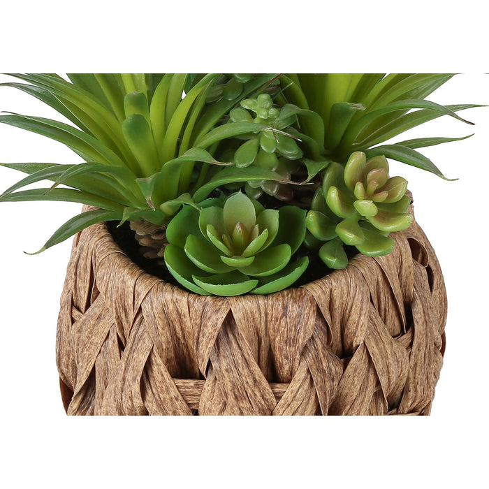 Succulent - 9" Artificial Plant (Set of 2) in a 6" Pot