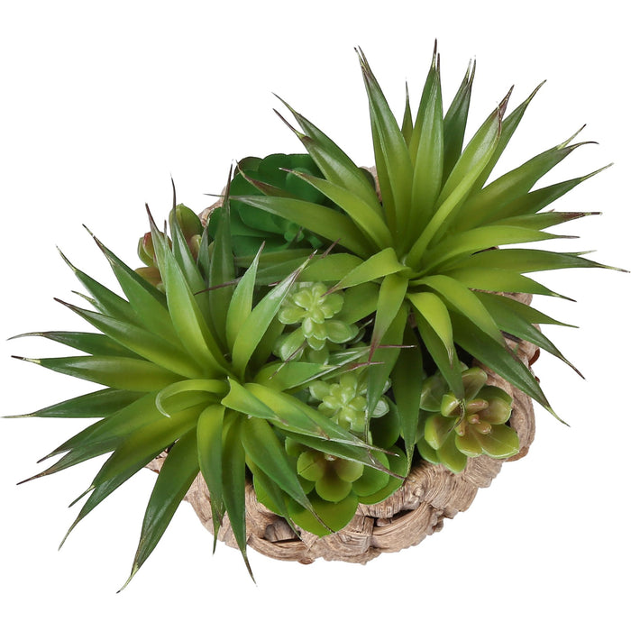 Succulent - 9" Artificial Plant (Set of 2) in a 6" Pot
